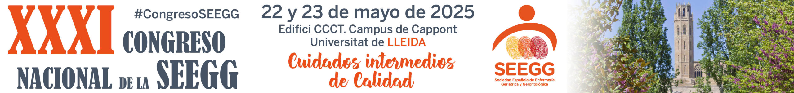 XXXI Congreso Nacional de la SEEGG